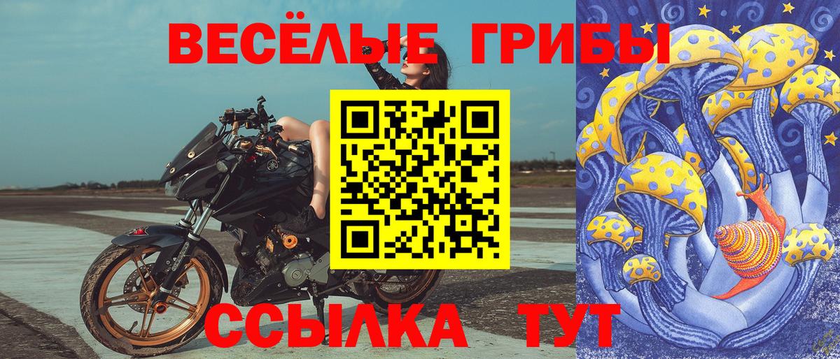 Псилоцибиновые грибы Magic Shrooms Мариинск