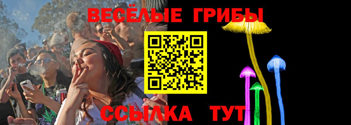 Мариинск  Псилоцибиновые грибы Magic Shrooms  наркотики  Вход с VPN 